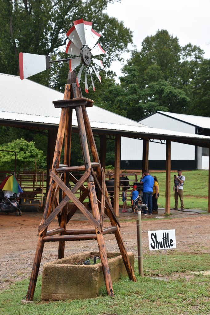 mimosa farm 2019 123 (683x1024).jpg